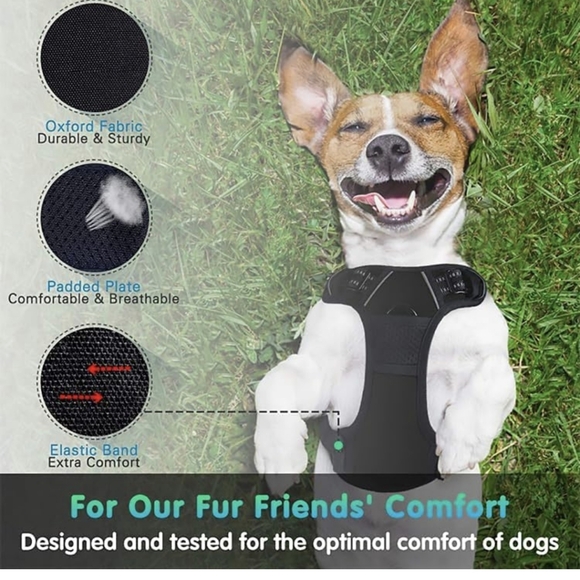 NIP Black Dog Harness Medium With 2 leash clips - Picture 4 of 15